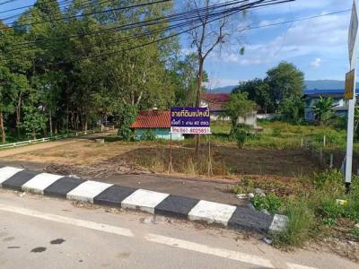 ที่ดิน 2350000 เชียงราย แม่สรวย แม่สรวย