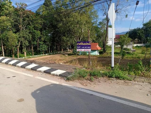 ที่ดิน 2350000 เชียงราย แม่สรวย แม่สรวย ที่ดิน 2350000 เชียงราย แม่สรวย แม่สรวย