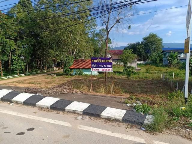 ที่ดิน 2350000 เชียงราย แม่สรวย แม่สรวย ที่ดิน 2350000 เชียงราย แม่สรวย แม่สรวย