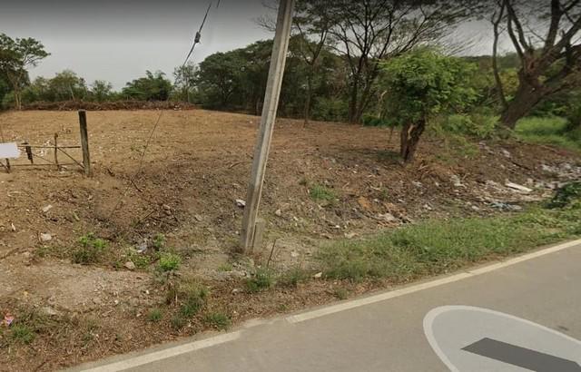 ที่ดิน 15000 นครปฐม พุทธมณฑล คลองโยง ที่ดิน 15000 นครปฐม พุทธมณฑล คลองโยง