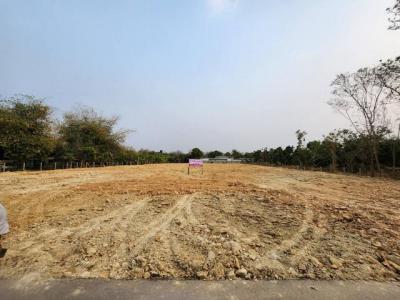 ที่ดิน 8000 เชียงใหม่ สันทราย หนองหาร