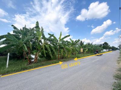 ที่ดิน 10900000 ปทุมธานี หนองเสือ บึงชำอ้อ