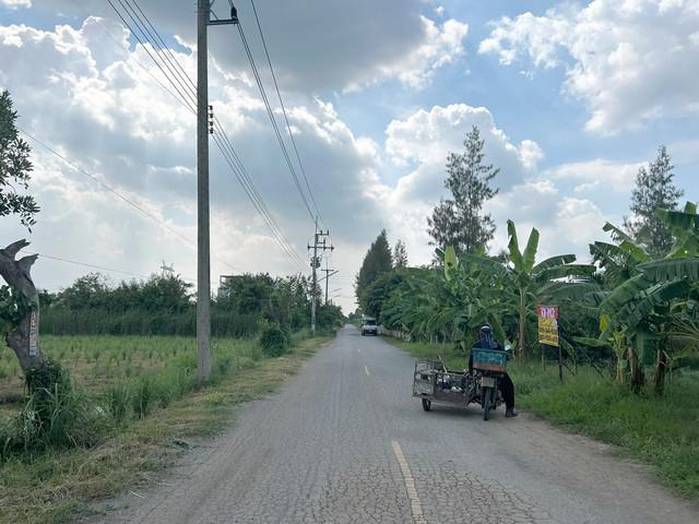 ที่ดิน 10900000 ปทุมธานี หนองเสือ บึงชำอ้อ ที่ดิน 10900000 ปทุมธานี หนองเสือ บึงชำอ้อ