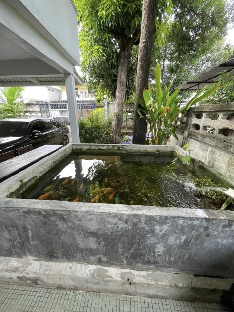 บ้านเดี่ยว 35000 กรุงเทพมหานคร เขตห้วยขวาง บางกะปิ บ้านเดี่ยว 35000 กรุงเทพมหานคร เขตห้วยขวาง บางกะปิ