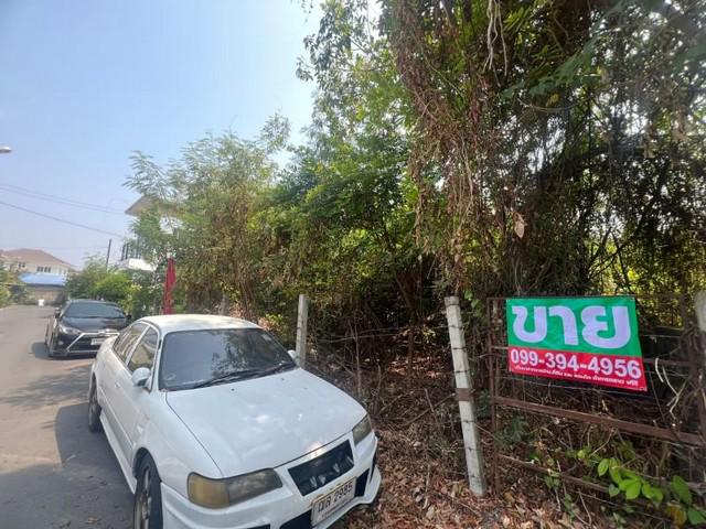 ที่ดิน 7900000 กรุงเทพมหานคร เขตบางเขน ท่าแร้ง
