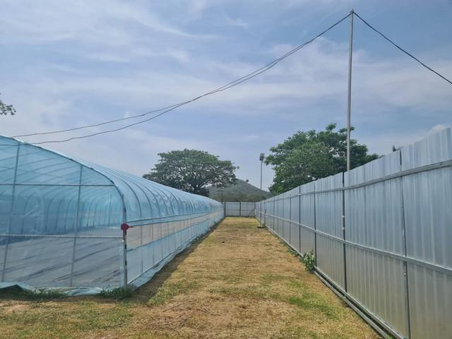 ที่ดิน 6500000 เพชรบุรี เขาย้อย หนองชุมพล ที่ดิน 6500000 เพชรบุรี เขาย้อย หนองชุมพล
