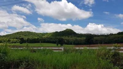 ที่ดิน 19500000 เลย วังสะพุง ศรีสงคราม