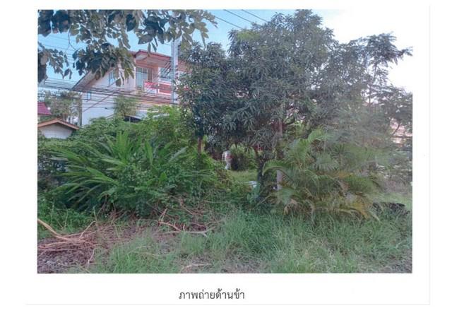 อาคารพาณิชย์ 2800000 ลำปาง เมืองลำปาง พิชัย อาคารพาณิชย์ 2800000 ลำปาง เมืองลำปาง พิชัย