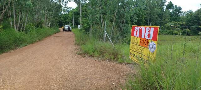 ที่ดิน 4200000 ขอนแก่น เมืองขอนแก่น แดงใหญ่ ที่ดิน 4200000 ขอนแก่น เมืองขอนแก่น แดงใหญ่