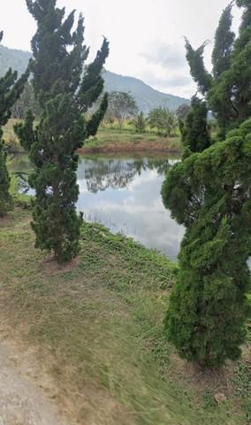 ที่ดิน 2300000 เลย ภูเรือ หนองบัว