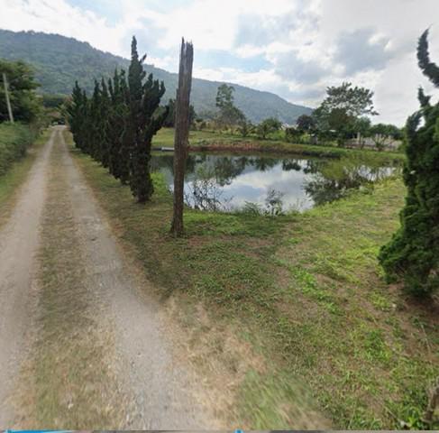 ที่ดิน 2300000 เลย ภูเรือ หนองบัว ที่ดิน 2300000 เลย ภูเรือ หนองบัว