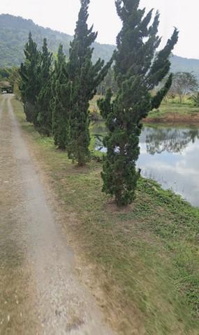 ที่ดิน 2300000 เลย ภูเรือ หนองบัว ที่ดิน 2300000 เลย ภูเรือ หนองบัว
