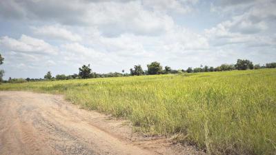 ที่ดิน 2594000 นครราชสีมา ด่านขุนทด บ้านแปรง