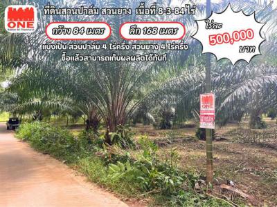 ที่ดิน 500000 นครศรีธรรมราช ถ้ำพรรณรา ถ้ำพรรณรา