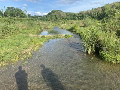 ที่ดิน 800000 น่าน สันติสุข ดู่พงษ์