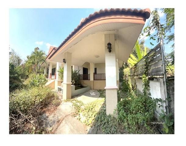 บ้านเดี่ยว 1620000 ลำพูน เมืองลำพูน เหมืองง่า บ้านเดี่ยว 1620000 ลำพูน เมืองลำพูน เหมืองง่า