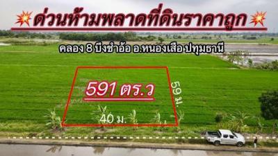 ที่ดิน 990000 ปทุมธานี หนองเสือ บึงชำอ้อ