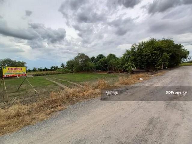 ที่ดิน 1950000 ปทุมธานี ลาดหลุมแก้ว บ่อเงิน ที่ดิน 1950000 ปทุมธานี ลาดหลุมแก้ว บ่อเงิน