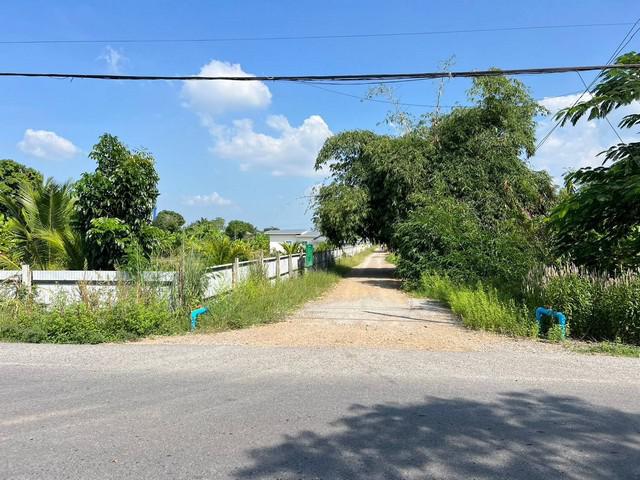 ที่ดิน 370000 ปทุมธานี หนองเสือ หนองสามวัง ที่ดิน 370000 ปทุมธานี หนองเสือ หนองสามวัง