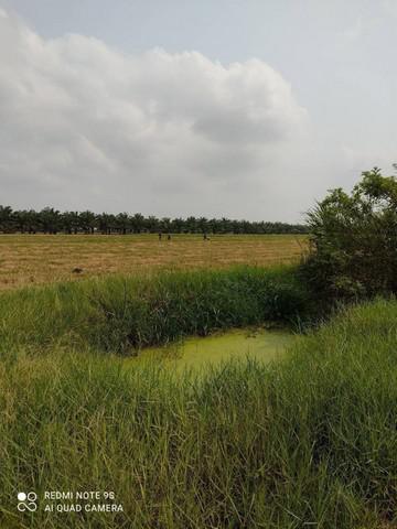ที่ดิน 1600000 กรุงเทพมหานคร เขตหนองจอก คลองสิบ