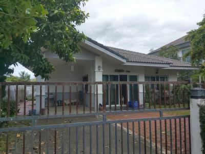 บ้านเดี่ยว 1900000 ลำพูน เมืองลำพูน ต้นธง