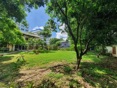 ที่ดิน 48732354 นนทบุรี เมืองนนทบุรี บางเขน
