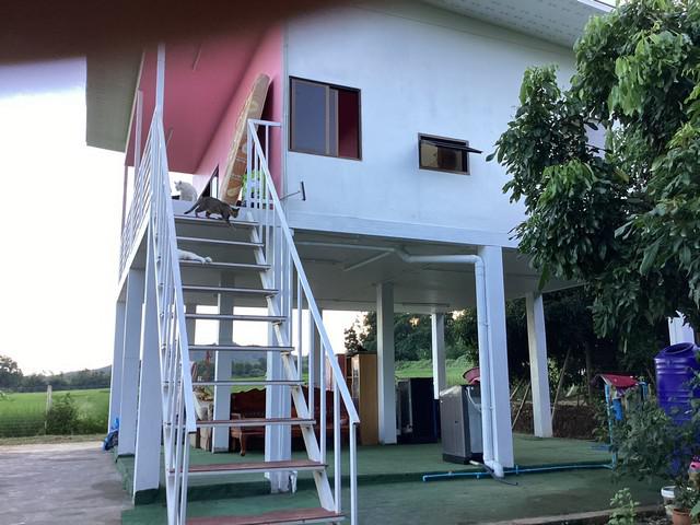 บ้านเดี่ยว 2500000 เชียงใหม่ จอมทอง บ้านแปะ บ้านเดี่ยว 2500000 เชียงใหม่ จอมทอง บ้านแปะ