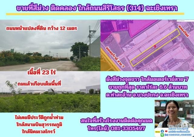 ที่ดิน 154539000 ฉะเชิงเทรา บางปะกง ท่าสะอ้าน ที่ดิน 154539000 ฉะเชิงเทรา บางปะกง ท่าสะอ้าน