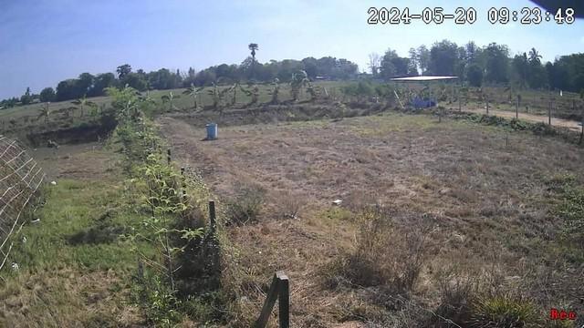 ที่ดิน 400000 สุพรรณบุรี หนองหญ้าไซ ทัพหลวง ที่ดิน 400000 สุพรรณบุรี หนองหญ้าไซ ทัพหลวง