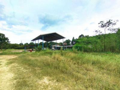 ที่ดิน 19500000 ฉะเชิงเทรา สนามชัยเขต ลาดกระทิง