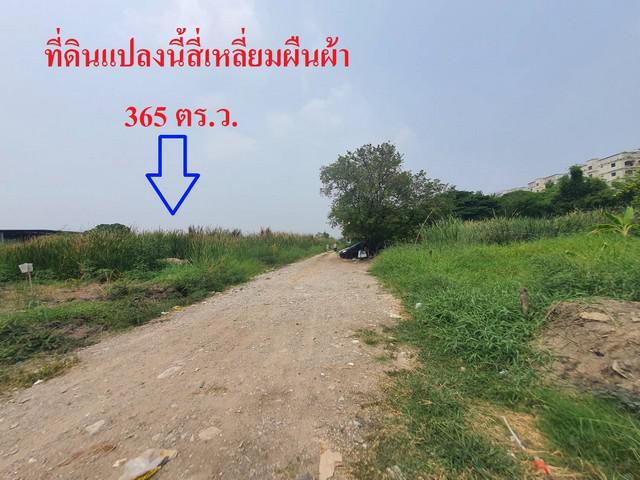 ที่ดิน 12000000 กรุงเทพมหานคร เขตประเวศ ดอกไม้ ที่ดิน 12000000 กรุงเทพมหานคร เขตประเวศ ดอกไม้