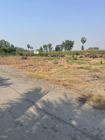 ที่ดิน 420000 พิษณุโลก พรหมพิราม ศรีภิรมย์