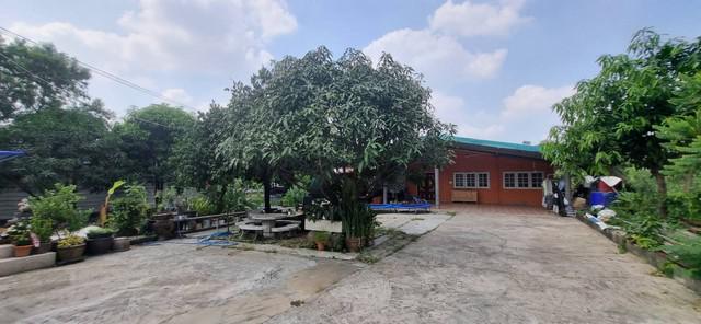 ที่ดิน 27922500 กรุงเทพมหานคร เขตทุ่งครุ บางมด ที่ดิน 27922500 กรุงเทพมหานคร เขตทุ่งครุ บางมด