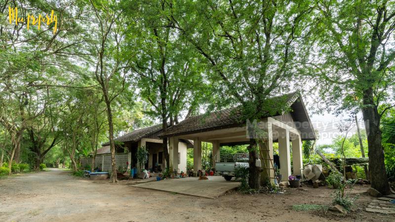 ที่ดิน 101123500 สระบุรี แก่งคอย ชะอม ที่ดิน 101123500 สระบุรี แก่งคอย ชะอม