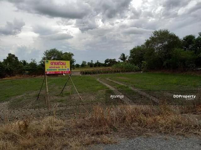 ที่ดิน 1950000 ปทุมธานี ลาดหลุมแก้ว บ่อเงิน ที่ดิน 1950000 ปทุมธานี ลาดหลุมแก้ว บ่อเงิน