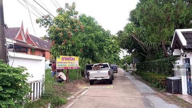 ที่ดิน 10815000 นนทบุรี เมืองนนทบุรี สวนใหญ่ ที่ดิน 10815000 นนทบุรี เมืองนนทบุรี สวนใหญ่