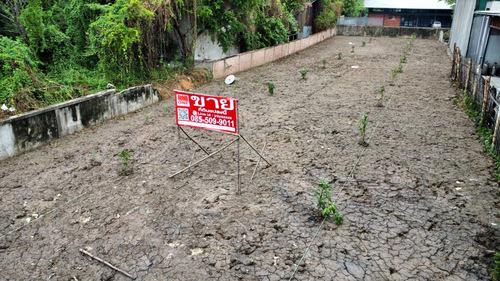 ที่ดิน 44835000 นนทบุรี ปากเกร็ด บ้านใหม่ ที่ดิน 44835000 นนทบุรี ปากเกร็ด บ้านใหม่