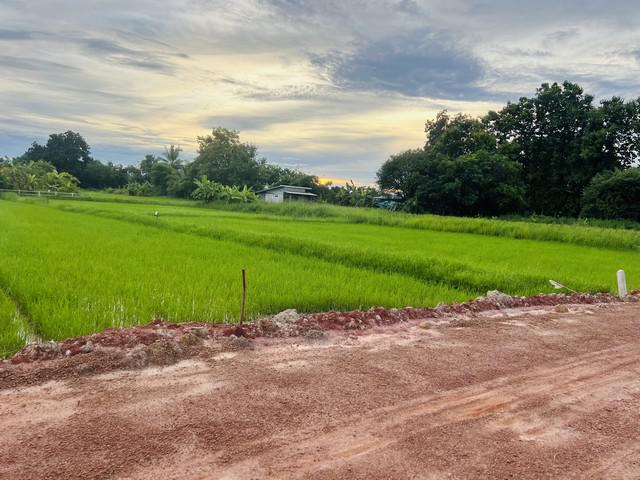 ที่ดิน 500000 หนองคาย เมืองหนองคาย หาดคำ ที่ดิน 500000 หนองคาย เมืองหนองคาย หาดคำ