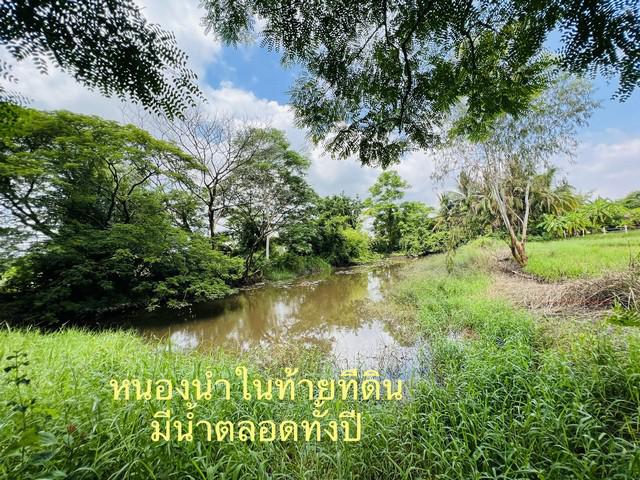 ที่ดิน 500000 หนองคาย เมืองหนองคาย หาดคำ ที่ดิน 500000 หนองคาย เมืองหนองคาย หาดคำ