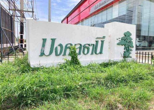 ที่ดิน 600000 ลำปาง เมืองลำปาง ชมพู ที่ดิน 600000 ลำปาง เมืองลำปาง ชมพู