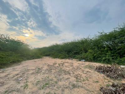 ที่ดิน 40900000 เพชรบุรี ชะอำ ชะอำ
