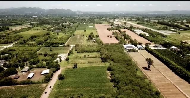 ที่ดิน 9000 นครราชสีมา ปากช่อง ขนงพระ ที่ดิน 9000 นครราชสีมา ปากช่อง ขนงพระ