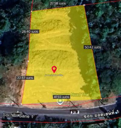ที่ดิน 20000000 ภูเก็ต เมืองภูเก็ต ฉลอง