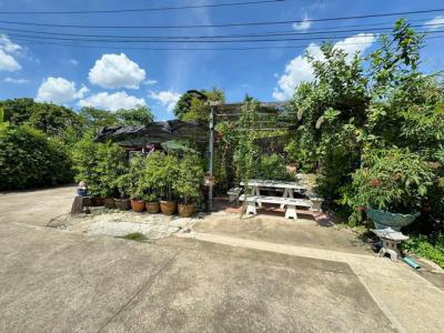 ที่ดิน 25000000 กรุงเทพมหานคร เขตบางแค บางแค