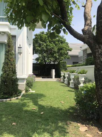 บ้านเดี่ยว 27000000 นนทบุรี บางกรวย บางคูเวียง บ้านเดี่ยว 27000000 นนทบุรี บางกรวย บางคูเวียง