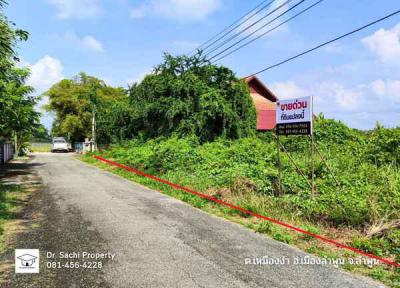 ที่ดิน 4017600 ลำพูน เมืองลำพูน เหมืองง่า