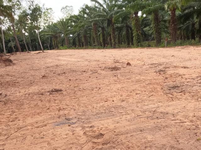 ที่ดิน 3000000 ประจวบคีรีขันธ์ บางสะพานน้อย ทรายทอง ที่ดิน 3000000 ประจวบคีรีขันธ์ บางสะพานน้อย ทรายทอง
