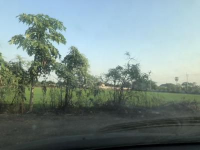 ที่ดิน 800000 ปทุมธานี ลาดหลุมแก้ว บ่อเงิน