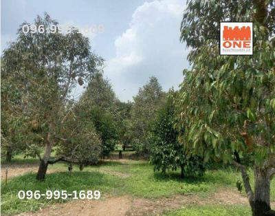 ที่ดิน 13885200 ปราจีนบุรี เมืองปราจีนบุรี ดงขี้เหล็ก