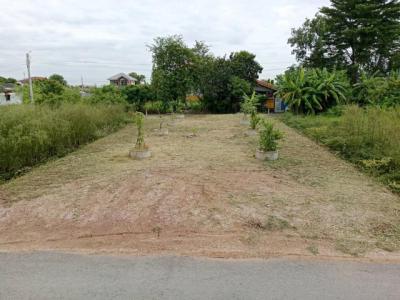 ที่ดิน 950000 กรุงเทพมหานคร เขตหนองจอก ลำต้อยติ่ง